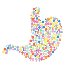 Human stomach care. Medical anatomical concept. Organ internal health body digestive biology system or medical healthy concept and empty esophagus abdomen gastric object