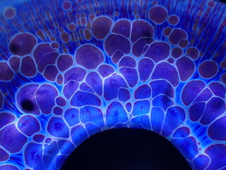 Textured background of microscopic glaze of Chinese ceramics tea cup