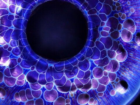 Textured background of microscopic glaze of Chinese ceramics tea cup - Powered by Adobe