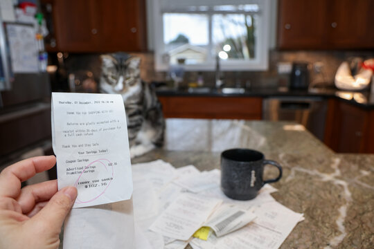Woman Looking at Receipts with Cat
