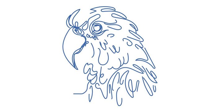 parrot portrait continuous line drawing on white background. Line art animation