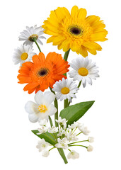 Png gerberas flower sticker, botanical design in transparent background