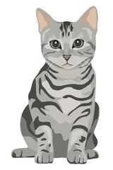 Cute kitten png sticker, American shorthair cat, transparent background