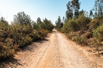 Camino del Sur - Via Verde de Riotinto - dirt road near Zalamea la Real, province of Huelva, Andalusia, Spain