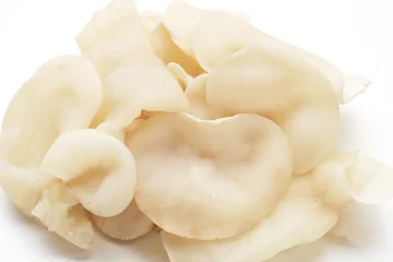 Fototapeten White jelly mushroom or white ear mushroom © Bowonpat