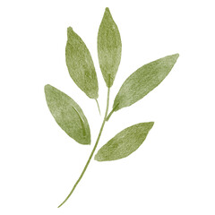 Leaf clipart png, watercolor green illustration on transparent background