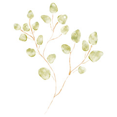 Leaves png sticker, botanical watercolor design, transparent background