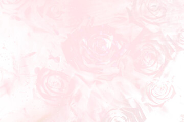 Aesthetic png rose background, floral transparent design