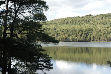 LOCH AN EILEIN CASTLE.  AVIMORE. SCOTLAND, ENGLAND, EUROPE