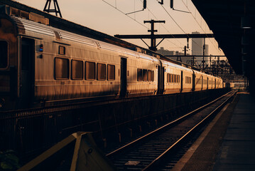 Evening Light on Railroad Tracks