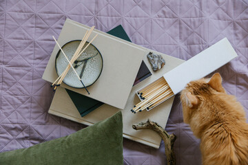 Flat lay on the bedspread  with different stuff with a cat