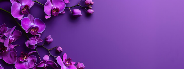 Purple orchids border a frame on a purple background with copy space. in a flat lay top view