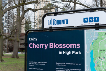 Fototapeta premium City of Toronto mobile sign at High Park advertising Cherry Blossoms season