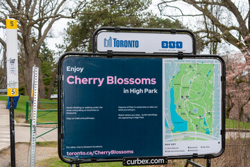 Fototapeta premium City of Toronto mobile sign at High Park advertising Cherry Blossoms season
