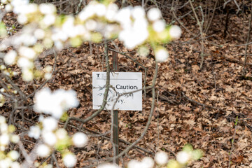 Fototapeta premium City of Toronto sign in High Park warning park visitors that the area contains Toxicodendron radicans