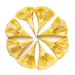 Sliced breadfruit arranged in a symmetrical pattern on isolated white background