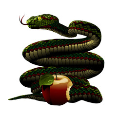 snake with Eden´s apple, deliver us from evil,  art illustration.