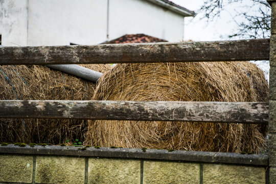 Rustic hay bale behind wooden fence in countryside