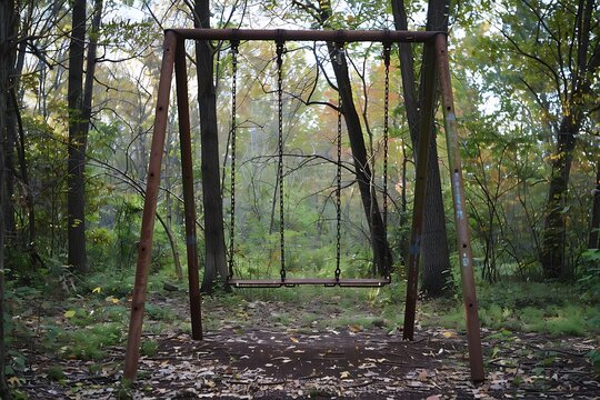 : An old, rusted swing set in an overgrown park, with no one around.
