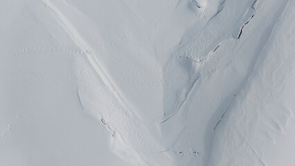 Wildlife Paw Prints on Snow-Covered Frozen Lake