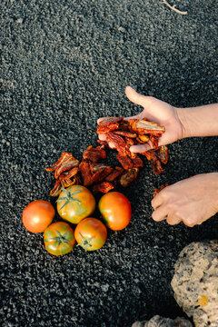Person's hands showing fresh and dried tomatoes
