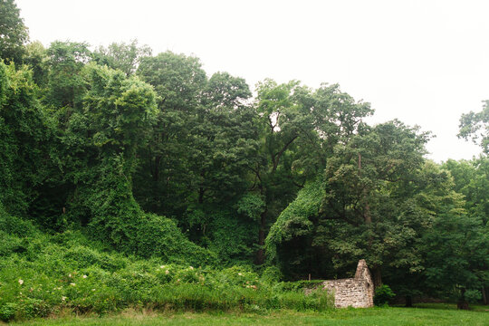 Abandoned Stone Building in Fort Belle Fontaine Park, Missouri