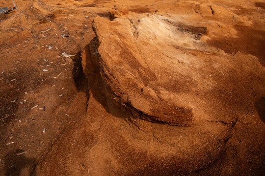 Abstract texture wooden dust