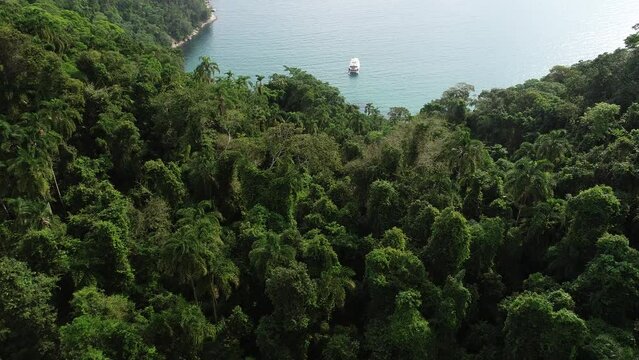 Aerial view of Saco do Mamangu&aacute; - Paraty, Rio de Janeiro, Brazil