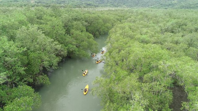 Kayaks in the sea between the mangroves of Saco do Mamangu&aacute; - Paraty, Rio de Janeiro, Brazil