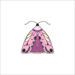 Butterfly Majesty. Colorful Abstract Vector Illustration