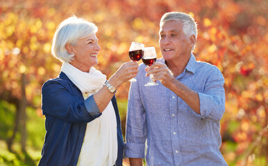 Happy, senior couple and glasses toasting for wine tasting, sharing drink or memories together on...