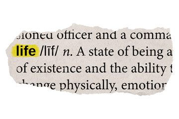 Life dictionary png ephemera collage element, transparent background