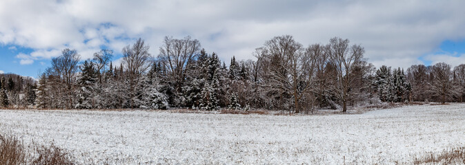 Wisconsin farmland and forest covered in snow