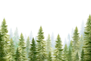 Forest png, watercolor nature collage element, transparent background