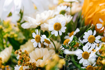 Summer flower background.