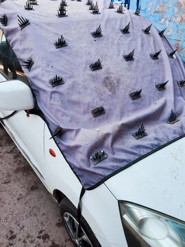 Jodhpur car cover