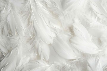 soft white feathers texture background delicate plumage pattern - obrazy, fototapety, plakaty