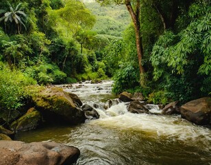 river flowing amidst a vibrant green jungle landscape, with rocks and trees lining its banks, showcasing the beauty of natures fluvial landforms and terrestrial plants