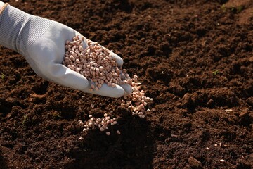 Man fertilizing soil, closeup. Space for text