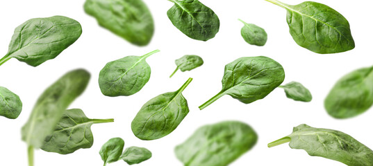 Fresh green spinach leaves falling on white background