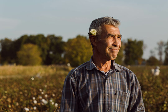 An old man on a cotton field