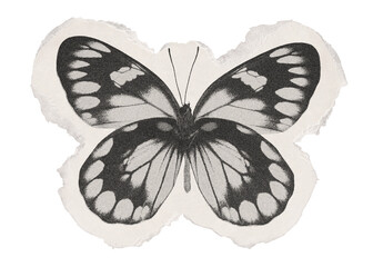 Black butterfly png sticker, ripped paper transparent background