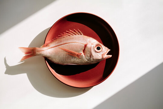Red snapper in a red plate