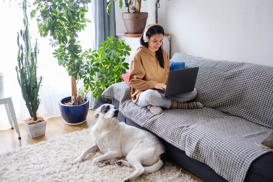 Woman with headphones using laptop on sofa with dog on the floor