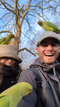 UGC selfie of couple with parakeets