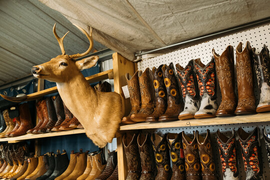 Taxidermy Deer Head and Boots in Flea Market