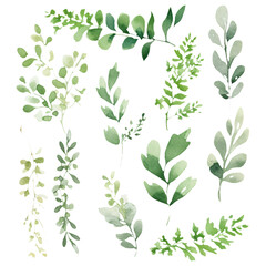 A vibrant set of green watercolor leaves, perfect for artistic and nature-themed designs