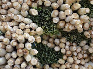 background of fresh lemon grass