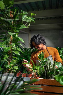 Care of plants