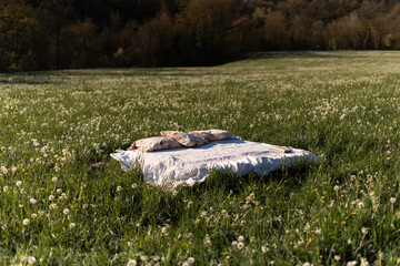 Wake up in the countryside